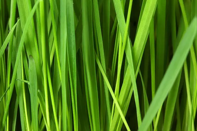 Tendances incontournables pour les soldes d'été 2026